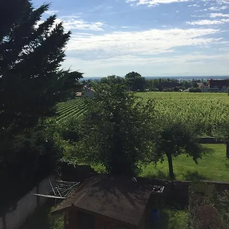 Appartement Ribeauville - Le Vigneron - Tripalsace Ribeauvillé